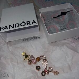 Pandora Gold and Rose Gold Charm Collection